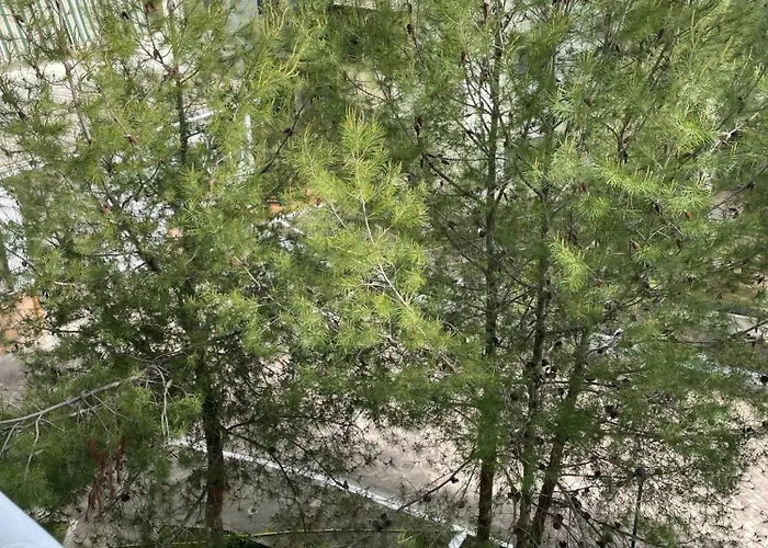 Lägenhet Homes Point Golem (Tirana)